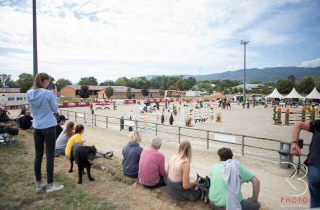 Concours de saut d'obstacles