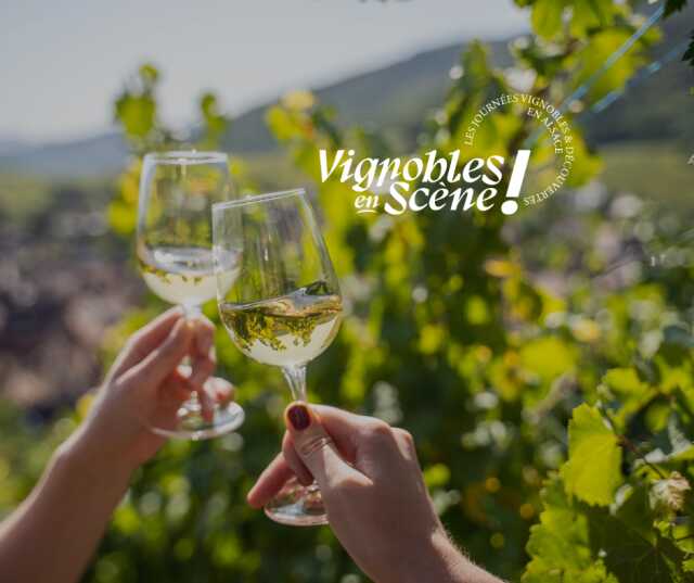 Vignobles en Scène Alsace: Dégustation découverte