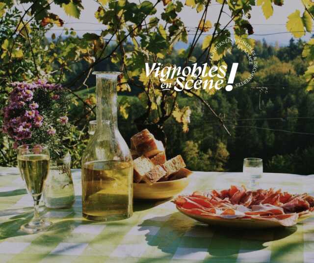 Vignobles en Scène Alsace: Vélo, pique nique et vins