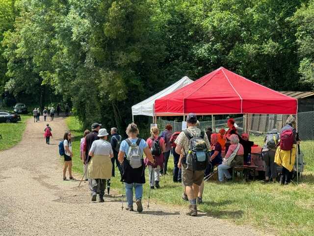 43e Marche Populaire Internationale - Autour du Bischenberg