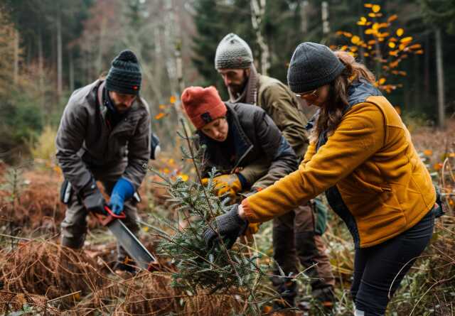 Chantier Nature Participatif