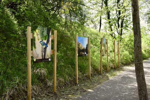 Exposition - Ilots Bonheur, au fil des saisons