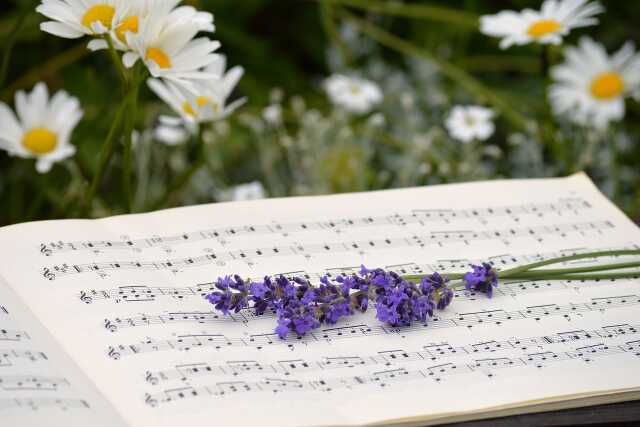 Concert - Choeur féminin Elégie