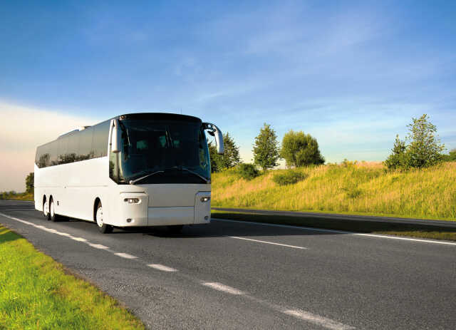 Visite guidée - Saverne, tour de ville en bus