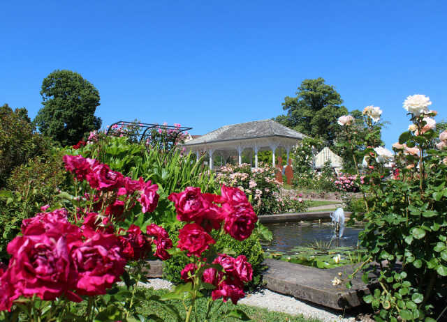 Visite guidée - Roseraie