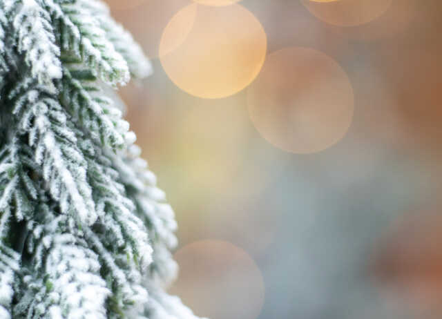 Marché de Noël à la Ferme