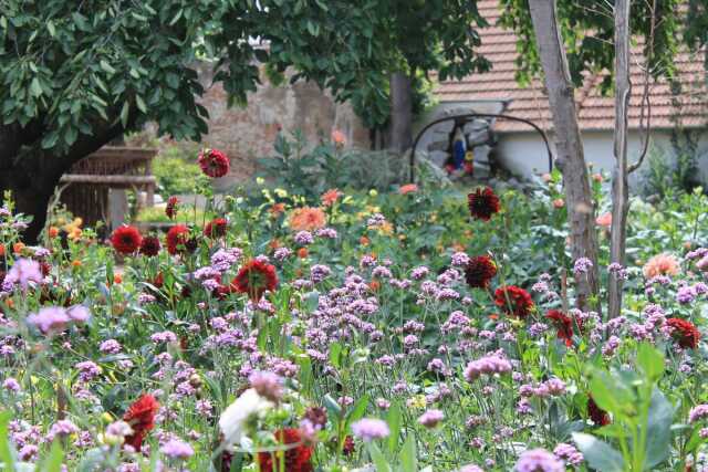 Sortie : nature en ville