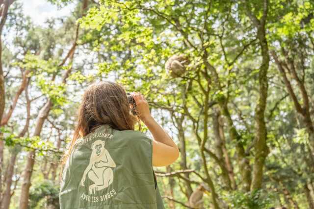 Visite privée et petit déjeuner avec les singes