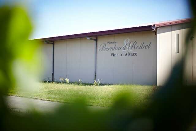 Domaine Bernhard-Reibel : vin nouveau chez le vigneron indépendant