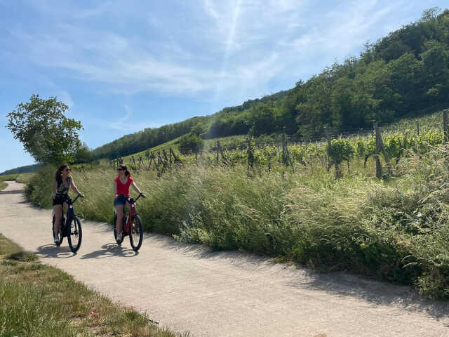 VINOBIKE® Parcours oenologique à vélo