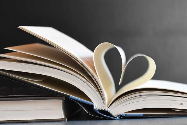Salon du livre: 