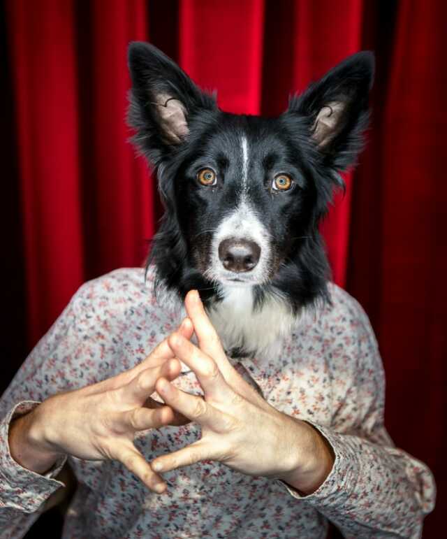 Théâtre de l'Usine - Ouiiii Cie des Plumés