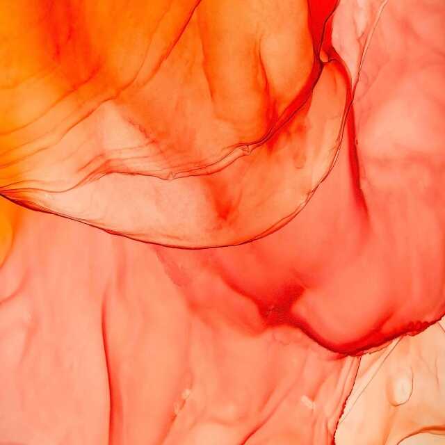 Exposition collective au Tympan