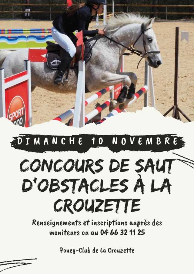 CONCOURS DE SAUT D'OBSTACLES