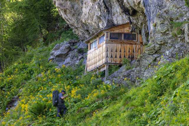 CINÉCO: VIVRE AVEC LES LOUPS