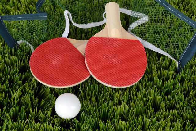 TENNIS DE TABLE
