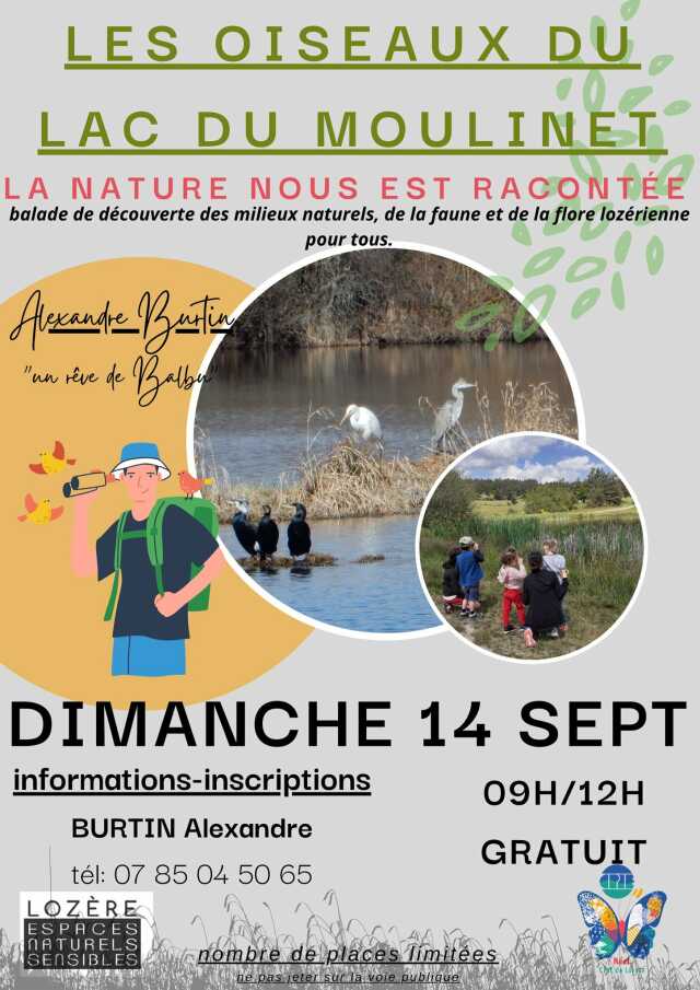 LES OISEAUX DU LAC DU MOULINET