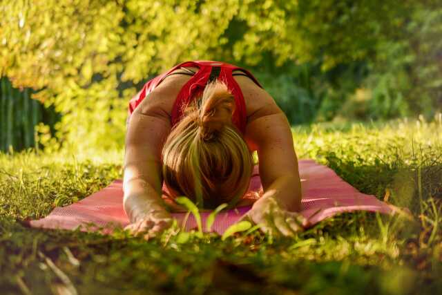 ATELIER DE YOGA IYENGAR