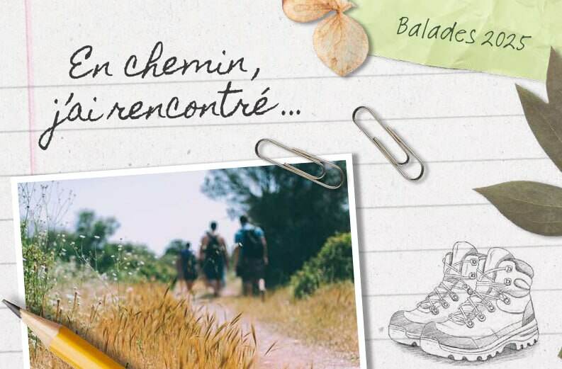 EN CHEMIN J'AI RENCONTRÉ : LA CHÈVRE ET LE CHOU