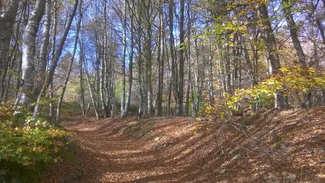 LE CHEMIN D'ESFAGOUX - RANDONNÉE ET PATRIMOINE