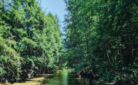 UNE JOURNÉE DANS LA VALLÉE DU GALEIZON