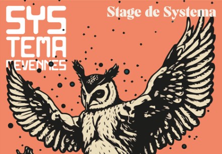 STAGE DE SYSTEMA