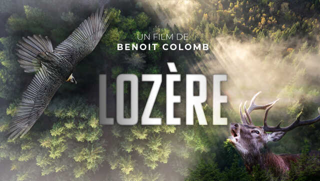 PROJECTION PLEIN AIR DU DOCUMENTAIRE 