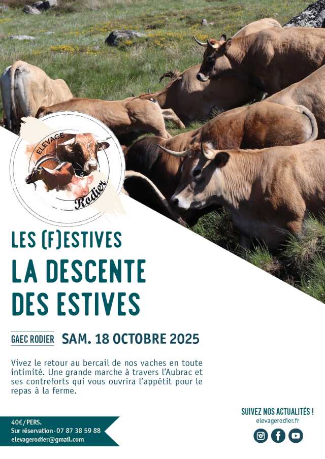 LA DESCENTE DES ESTIVES