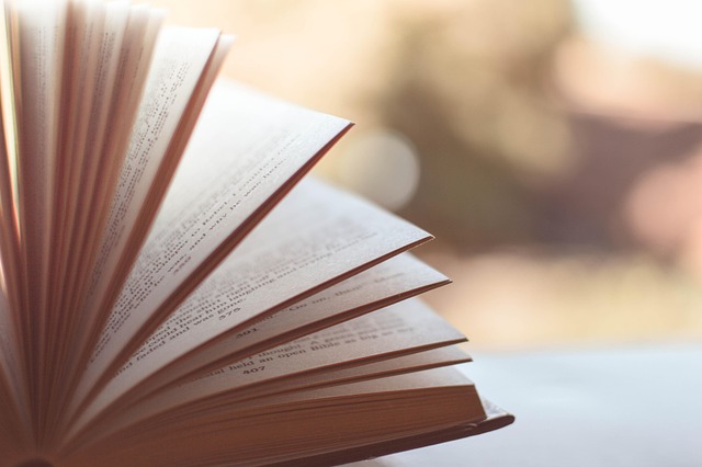 LECTURE À VOIX HAUTE : JE LIS DANS LA VALLÉE