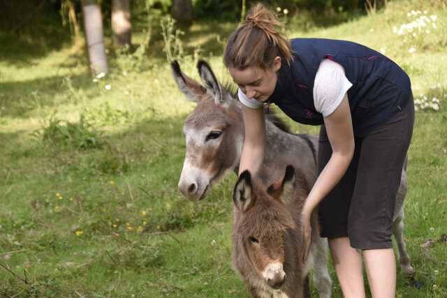 LA COMMUNICATION INTUITIVE AVEC L'ANIMAL : AVEC LES ÂNES