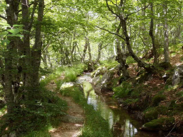 JOURNÉES EUROPÉENNE DU PATRIMOINE : BÉAL DE FELGEROLLES