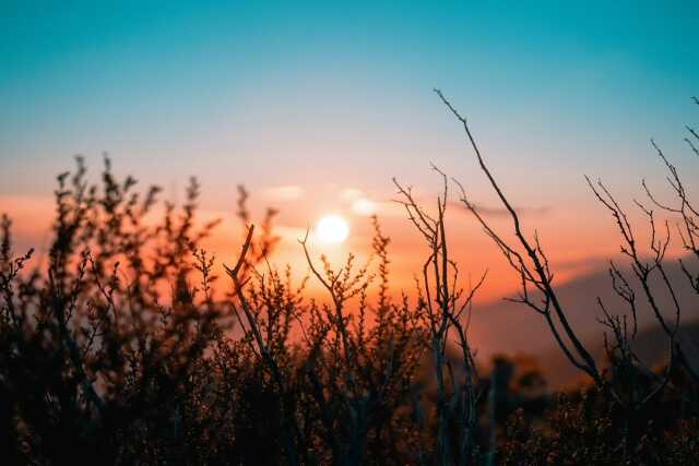 LEVER DU SOLEIL AVEC CONTES ET VIOLONCELLE