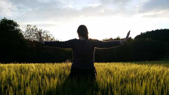 STAGE DE QI GONG