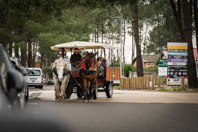 Calèche, vin chaud, atelier maquillage & goûter ● Noël 2025