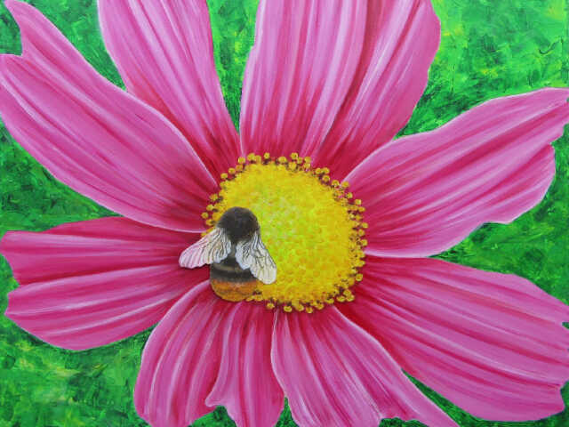 Exposition Céline Burel