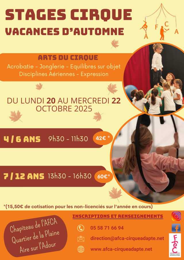 Stage de cirque à l'AFCA
