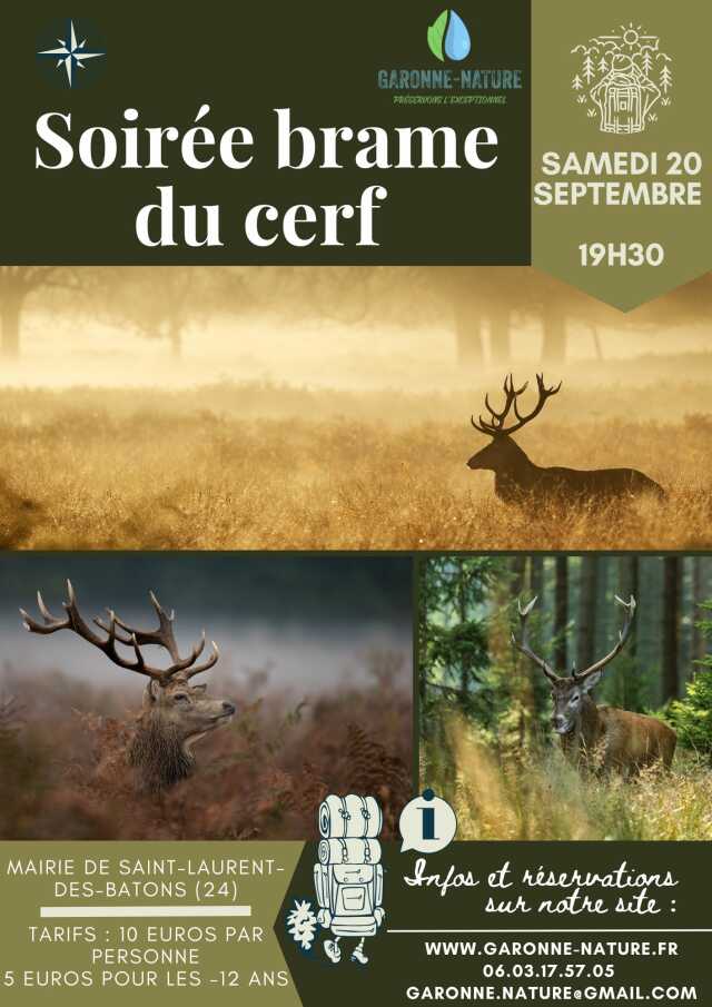 Soirée brame du cerf