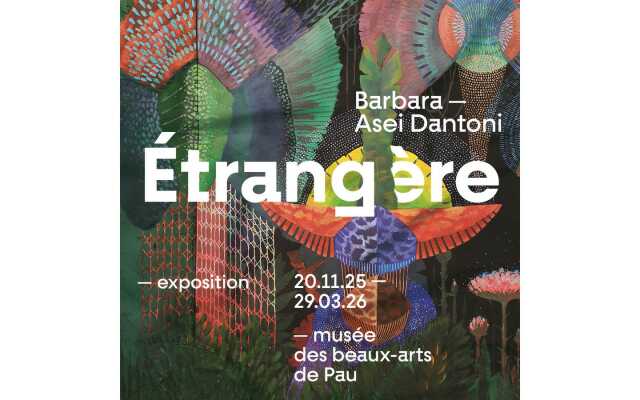 Visite flash - Exposition: Barbara Asei Dantoni - Étrangère