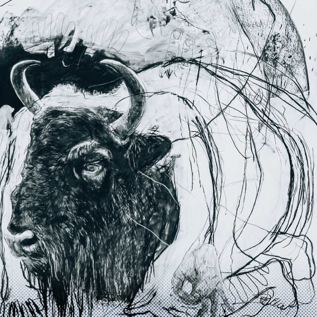 Métamorphose(s) : Exposition par Benjamin Bondonneau