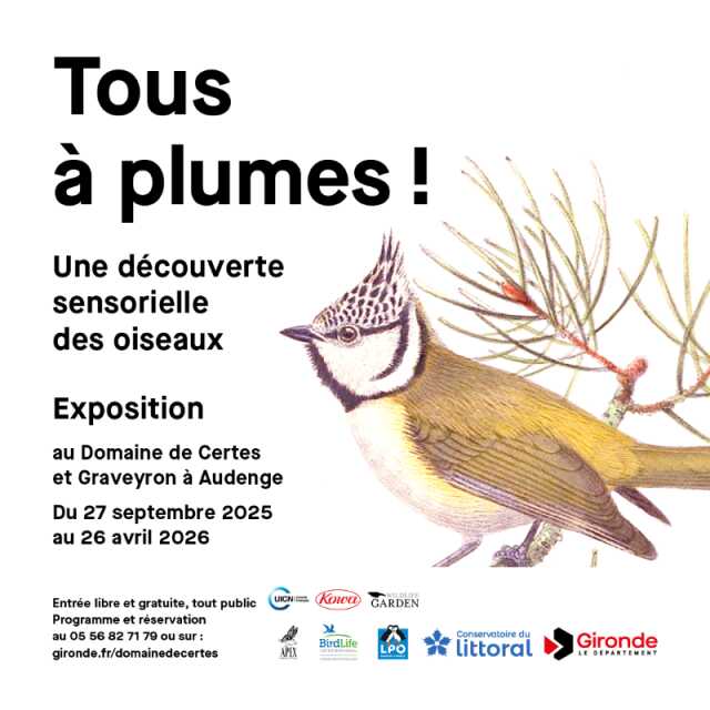 Exposition au Domaine de Certes et Graveyron : Tous à plumes