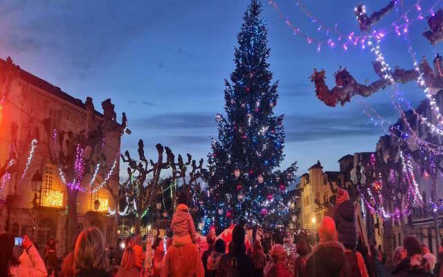 Le sapin féerique :“Un Noël gourmand et multicolore”!