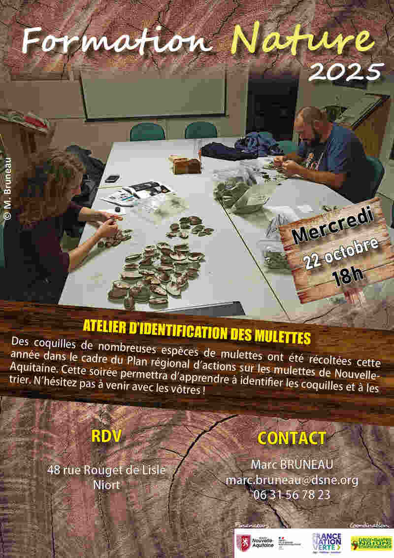 Atelier d'identification des mulettes