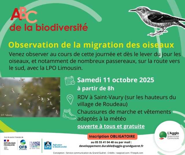 Observation de la migration des oiseaux