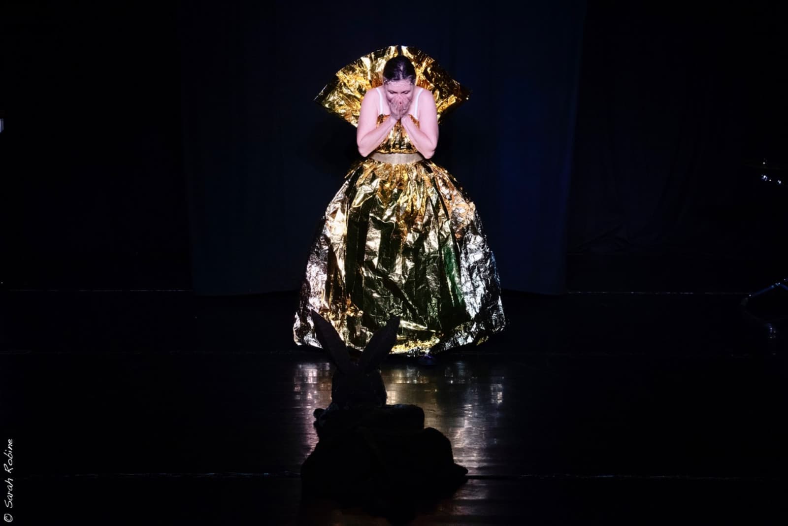 Théâtre  Le Paradis : Ma peau d'Âne