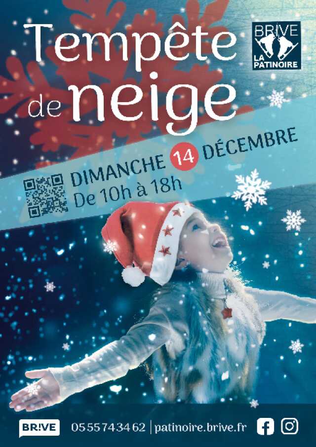 Tempête de neige (Patinoire)