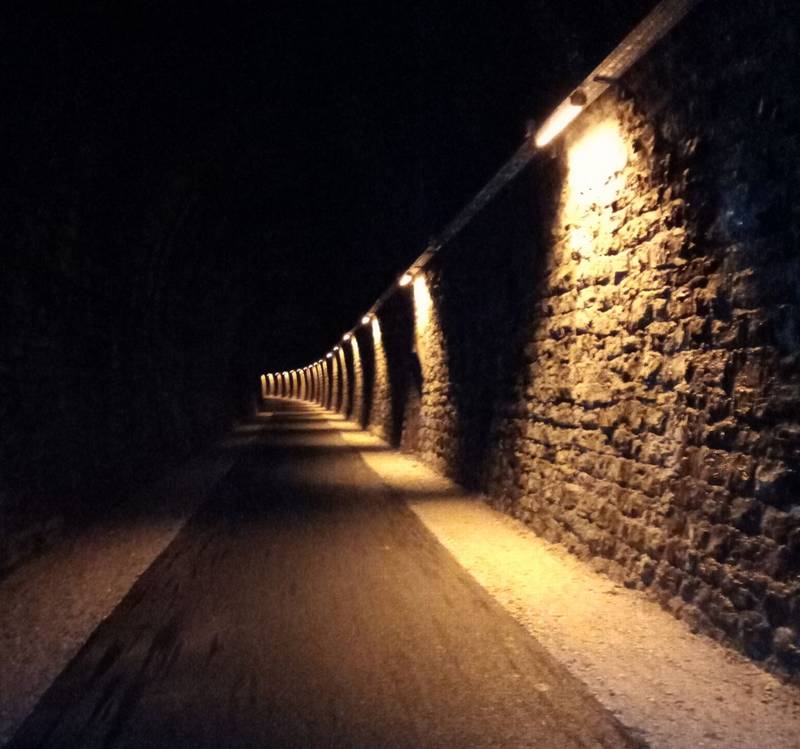 Visite au coeur de la nuit