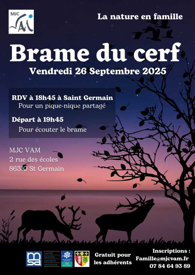 Brame du cerf