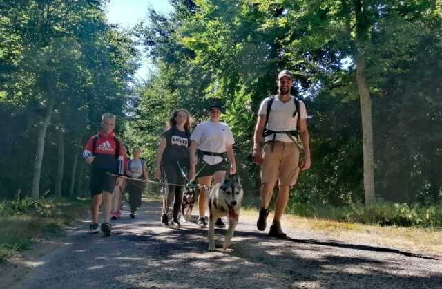 Été actif : Cani rando