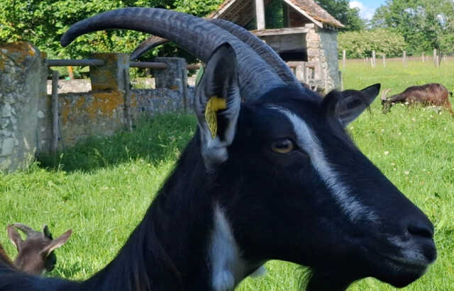 Automne à la ferme | La Ferme à Roulettes