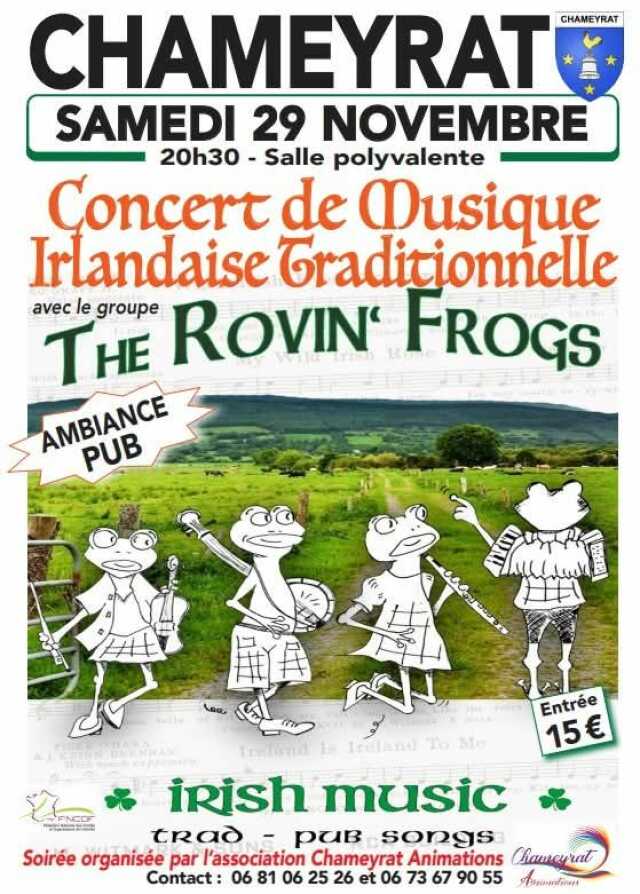 Concert  de musique Irlandaise traditionnelle